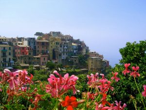 fleurs-cinque-terre