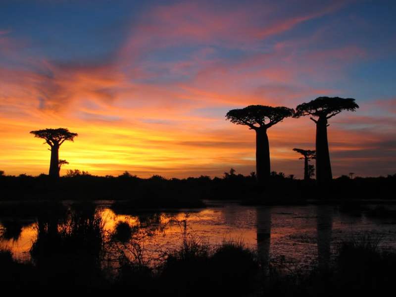 photo-madagascar