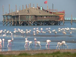 walvis-bay