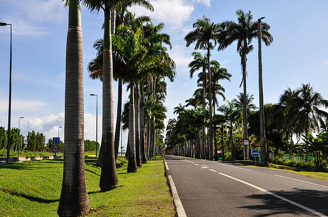 Antilles – photo 6