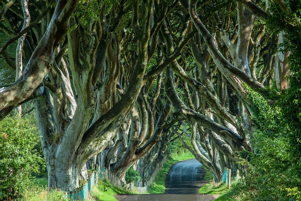 decouverte-de-la-verte-irlande