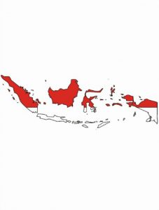 drapeau-indonesie