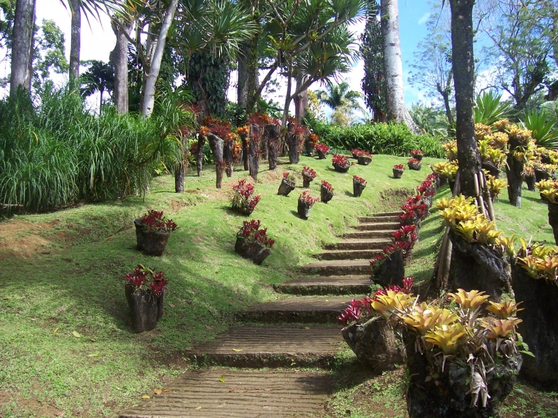 Antilles – photo 3