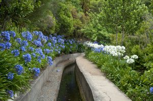 levada