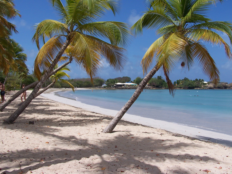 Antilles – photo 2