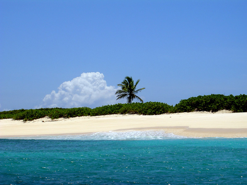 photo-anguilla