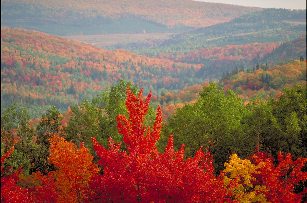 photo-nouveau-brunswick