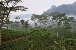 ratnapura