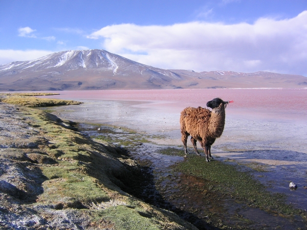 villamar-Bolivie-cb-voyages