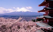 organisation-d-un-voyage-pour-ce-au-japon